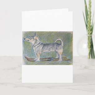 Vollhound  Dog Greeting Card