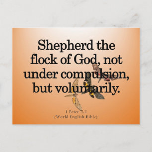 Voluntary Service 1 Peter 5-2 Postcard