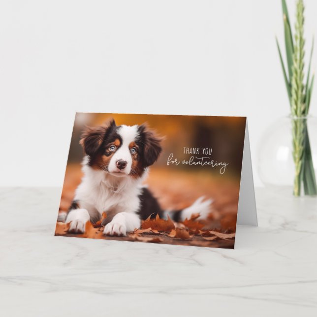 Volunteer Australian Shepherd Puppy Thank You Card (Front)