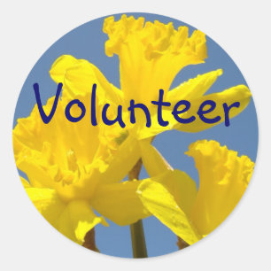 Volunteer stickers Yellow Daffodil Flowers School