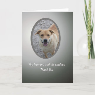 Volunteer Thank You, Dog Rescue Thank You Card