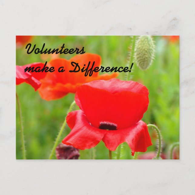 Volunteer Thank You Event post card invitations (Front)