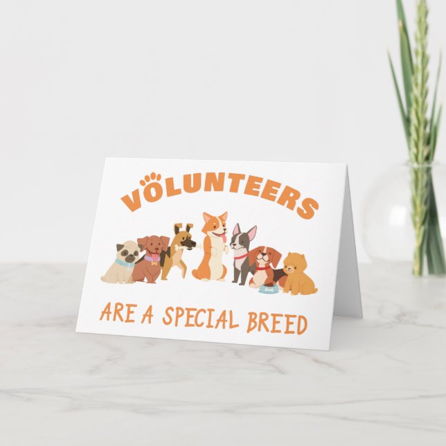 Volunteers Are a Special Breed Dog Rescue Shelter  Thank You Card (Front)