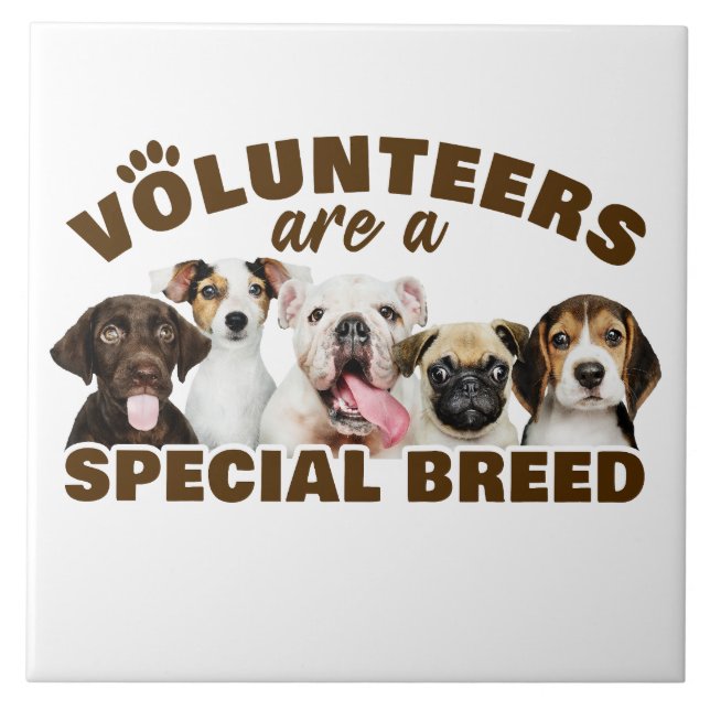 Volunteers Are a Special Breed Dog Rescue Shelter  Tile (Front)