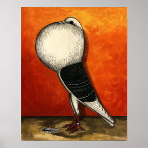 Voorburg Cropper Pigeon Blue Check Poster