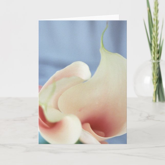 Vortex White Calla Lily Art Greeting Cards (Front)