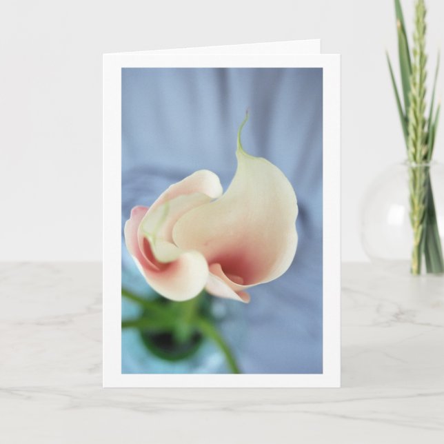 Vortex White Calla Lily Art Photo Note Cards (Front)