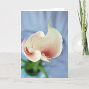 Vortex White Calla Lily Art Photo Note Cards