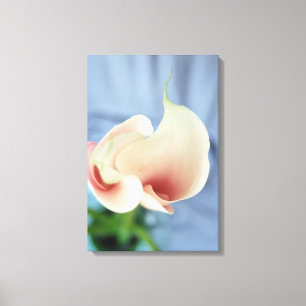 Vortex White Calla Lily Floral Canvas Art Print