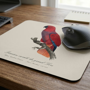 Vosmaer Eclectus Parrot, Eclectus Roratus Vosmaeri Mouse Mat