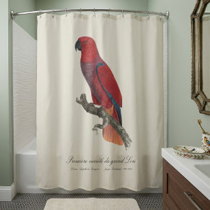 Vosmaer Eclectus Parrot, Eclectus Roratus Vosmaeri Shower Curtain