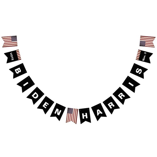 Vote BIDEN HARRIS on Nov 3 Bunting Flag Banner (All)