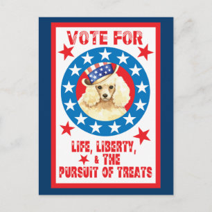 Vote for Miniature Poodle Postcard