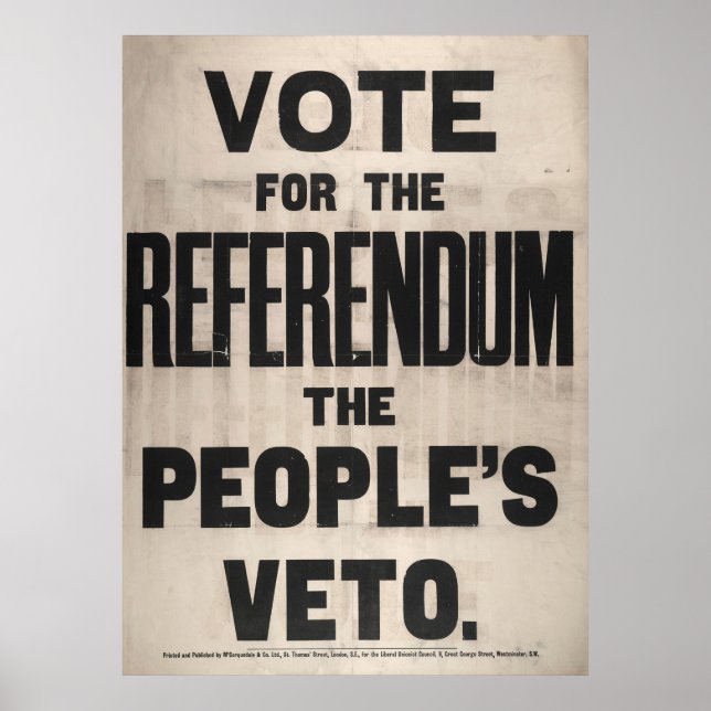 Vote for the Referendum the People's Veto Poster (Front)