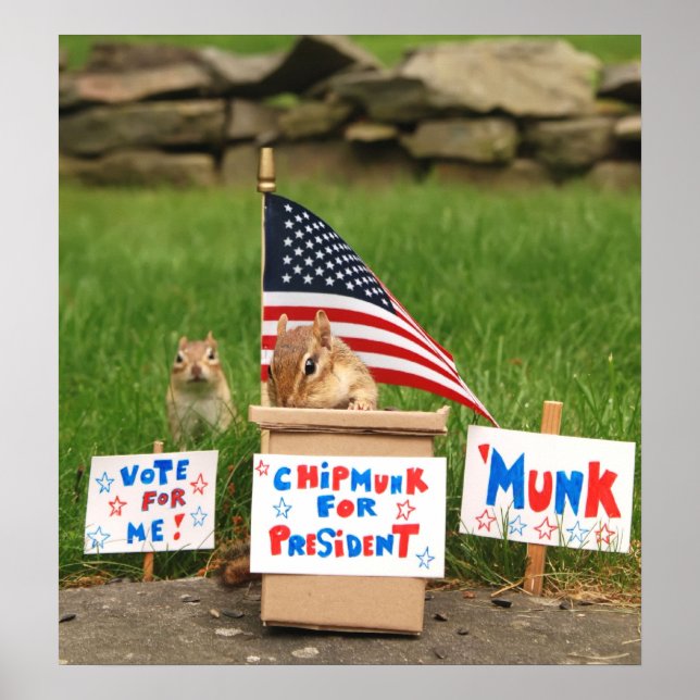 Vote 'Munk! Poster (Front)