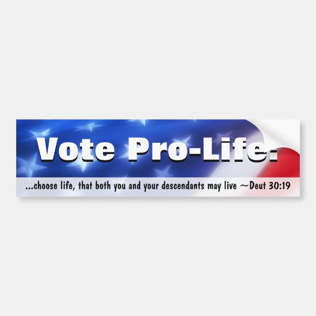 Vote Pro-Life, Conservative Patriotic Bumper Sticker (Front)