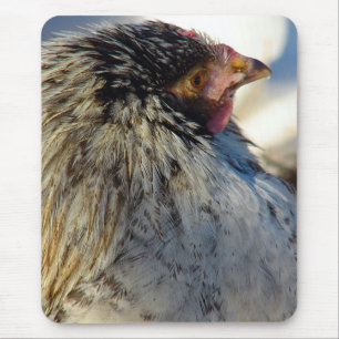 Vote The Chicken Mouse Mat