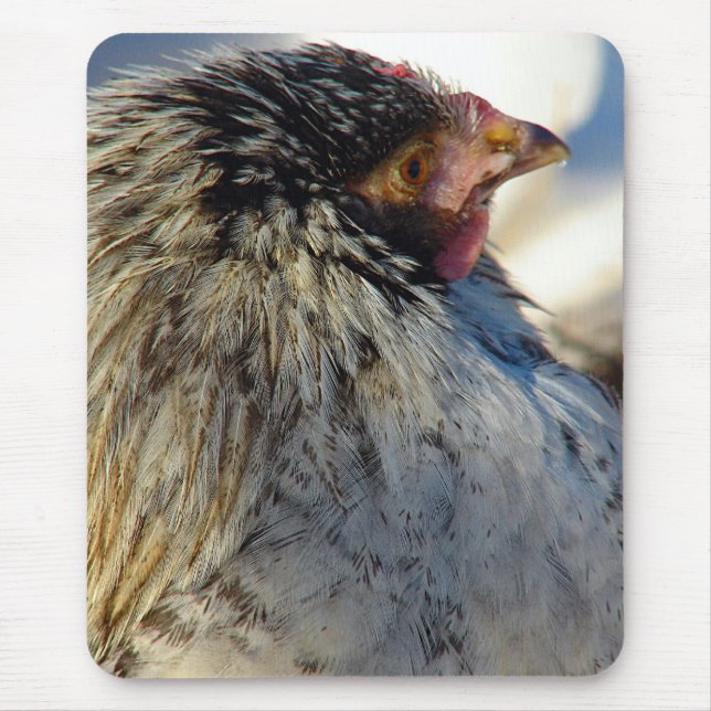 Vote The Chicken Mouse Mat (Front)