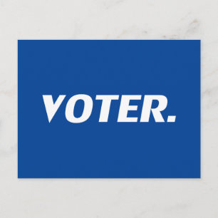 "Voter" blue white Postcard