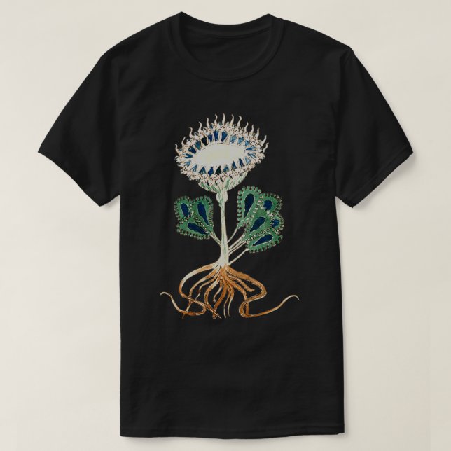Voynich Manuscript Plant Illustration 1 T-Shirt (Design Front)