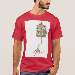 Voynich Manuscript Plants T-Shirt