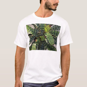 Vriesea Splendens Bromeliad Plant Striped Leaves T-Shirt