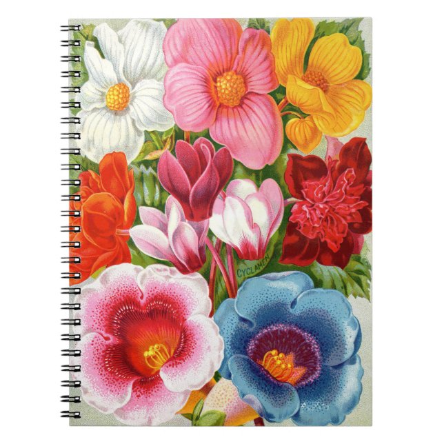 VTG Botanical Begonias & Gloxinias Spiral Notebook (Front)