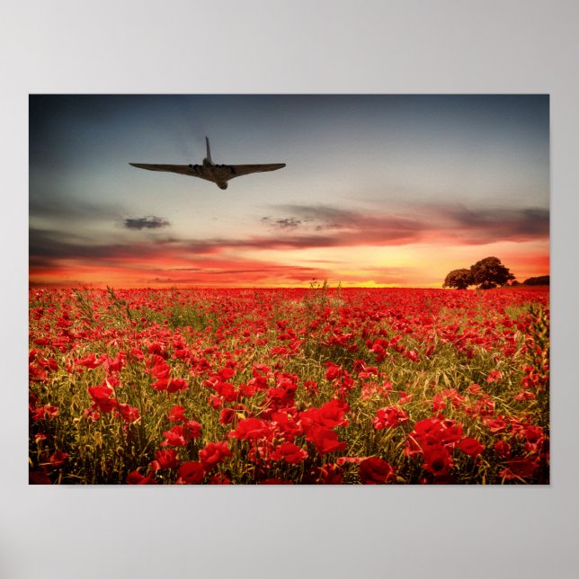 Vulcan Final Flight Poster (Front)