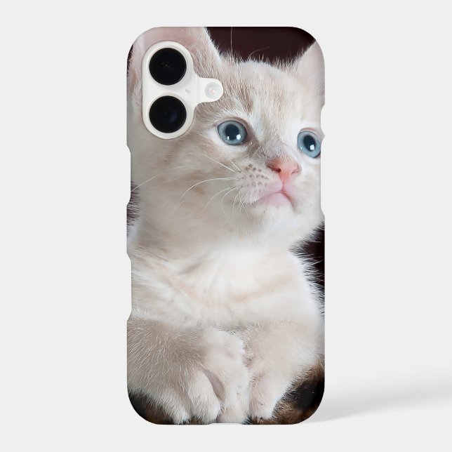 Vulnerable White Kitten (Back)