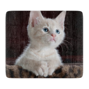 Vulnerable White Kitten Cutting Board