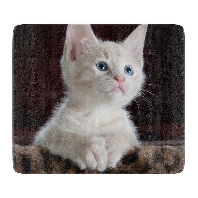 Vulnerable White Kitten Cutting Board (Front)