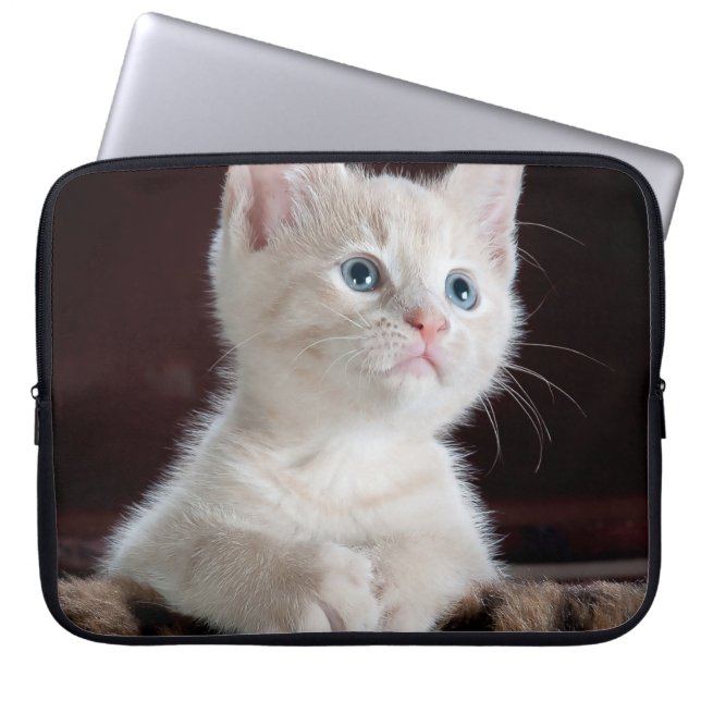 Vulnerable White Kitten Laptop Sleeve (Front)