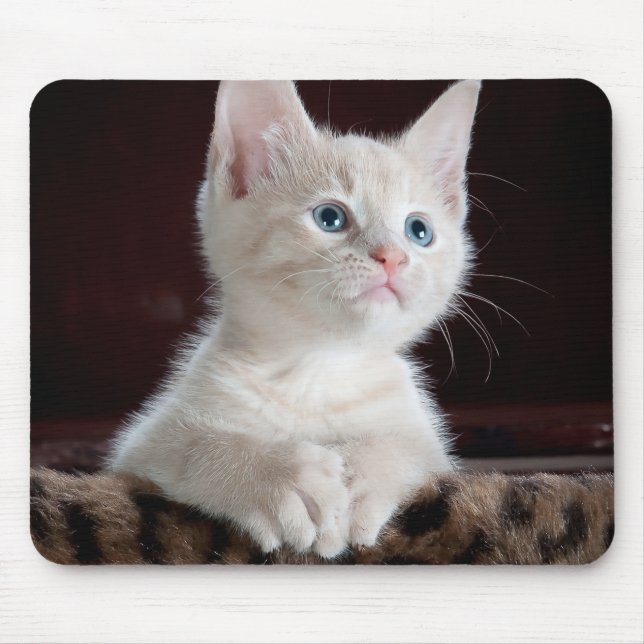Vulnerable White Kitten Mouse Mat (Front)