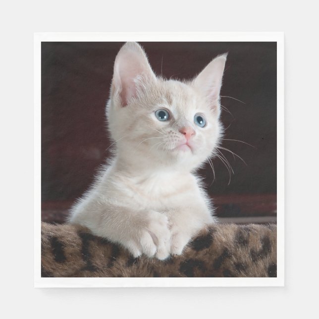 Vulnerable White Kitten Napkin (Front)