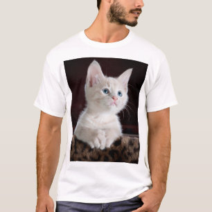 Vulnerable White Kitten T-Shirt