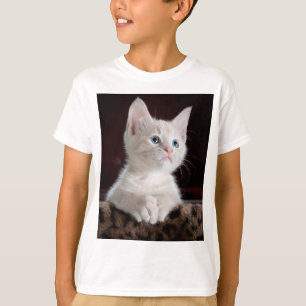 Vulnerable White Kitten T-Shirt