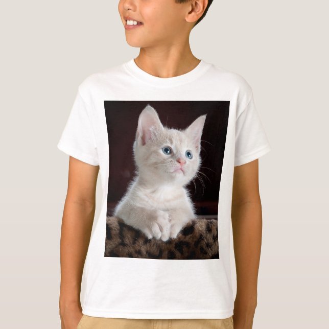 Vulnerable White Kitten T-Shirt (Front)