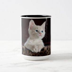 Vulnerable White Kitten Two-Tone Coffee Mug