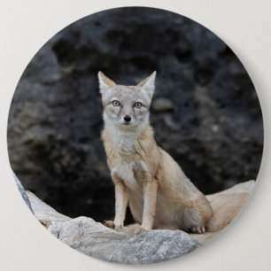 Vulpes corsac 6 cm round badge