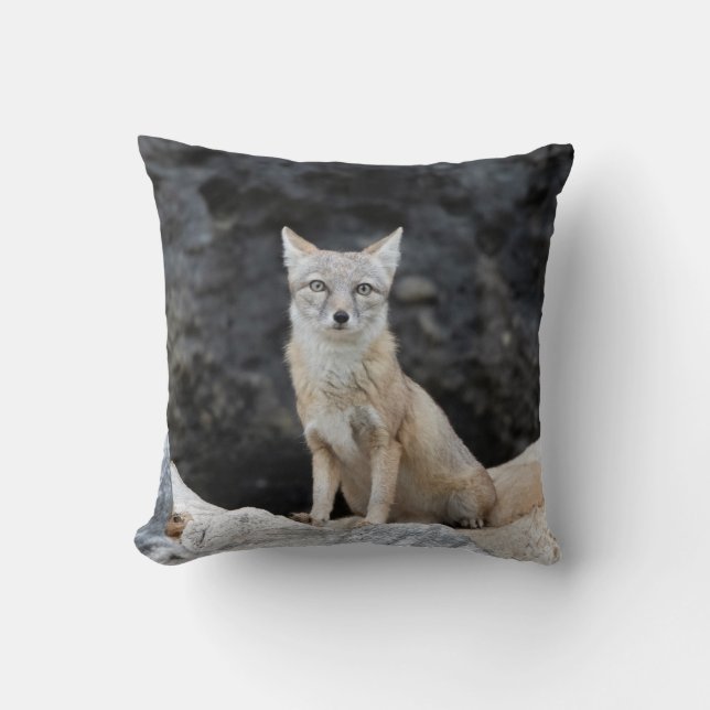 Vulpes corsac cushion (Front)