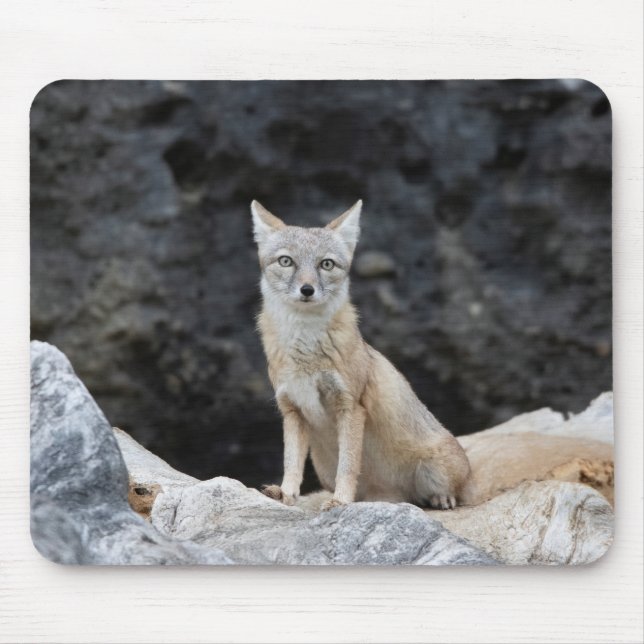Vulpes corsac mouse mat (Front)