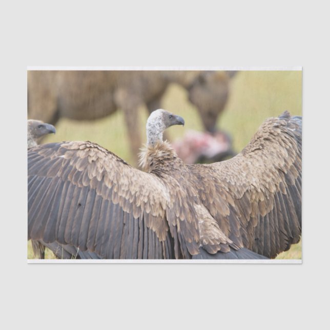 Vulture and Hyena Tissue Paper (Front)