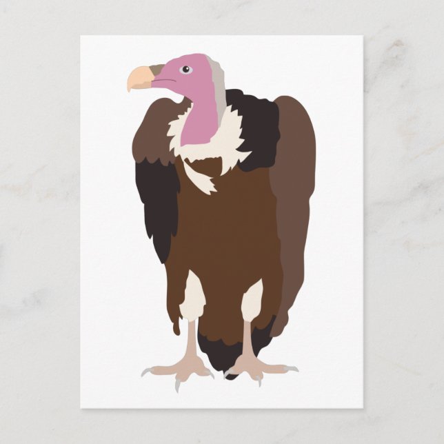 Vulture Bird Illustration  Holiday Postcard (Front)