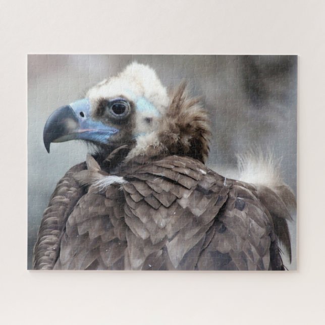 Vulture  Bird of Prey. Jigsaw Puzzle (Horizontal)