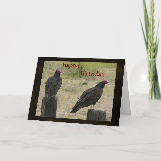 Vulture Birthday Card (Front)