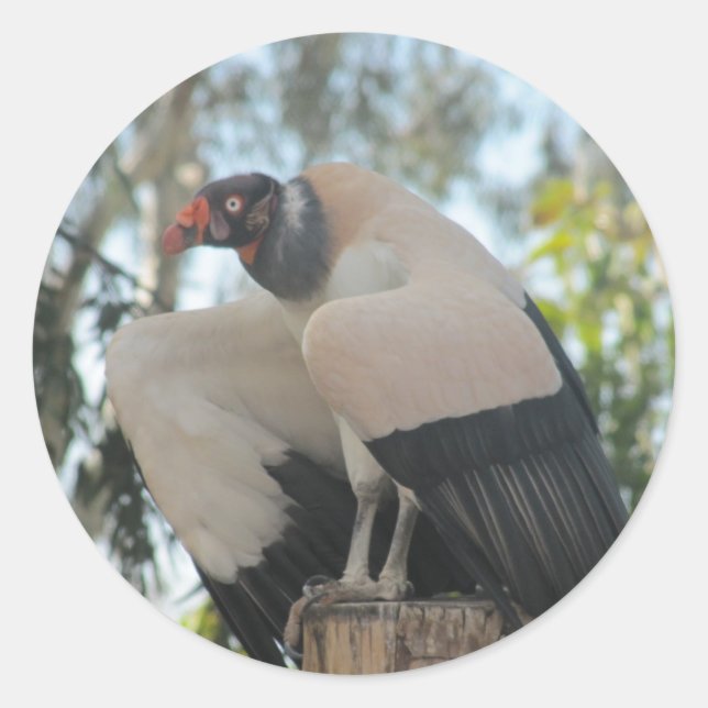 vulture classic round sticker (Front)