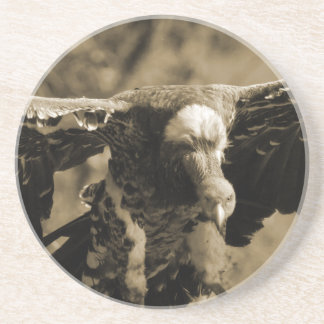 Vulture Coaster