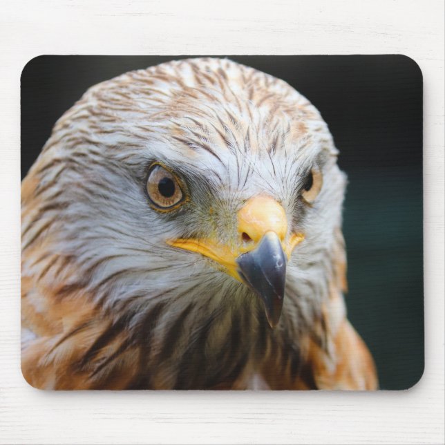 vulture, desert vulture, bird mouse mat (Front)