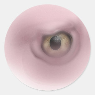 Vulture Eye Classic Round Sticker