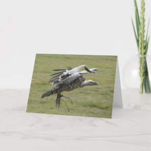 Vulture landing with open wings bird of prey photo card
